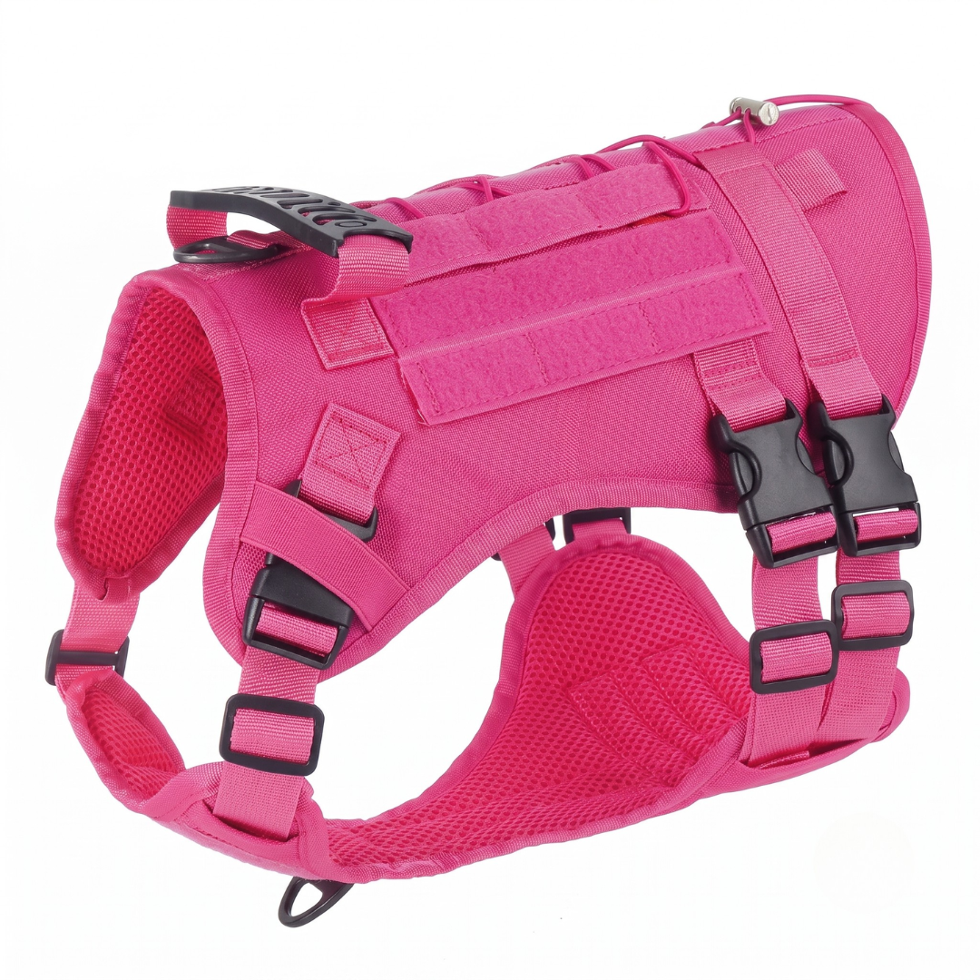 BuddyStride Pivot-Control Harness
