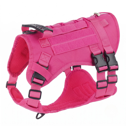 BuddyStride Pivot-Control Harness