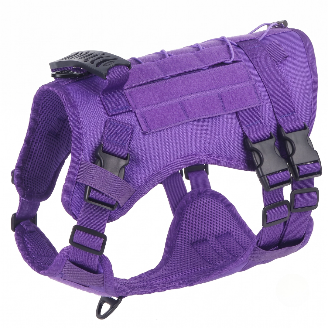 BuddyStride Pivot-Control Harness