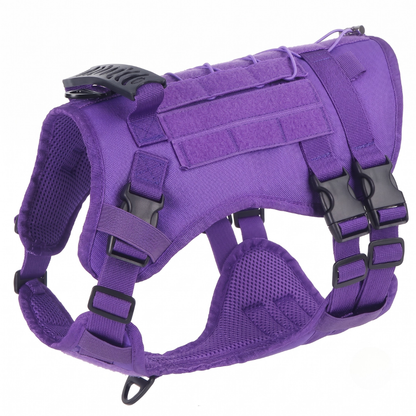 BuddyStride Pivot-Control Harness
