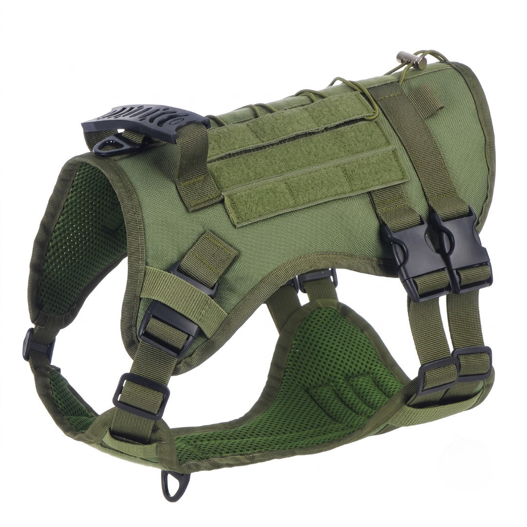 BuddyStride Pivot-Control Harness