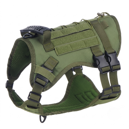 BuddyStride Pivot-Control Harness