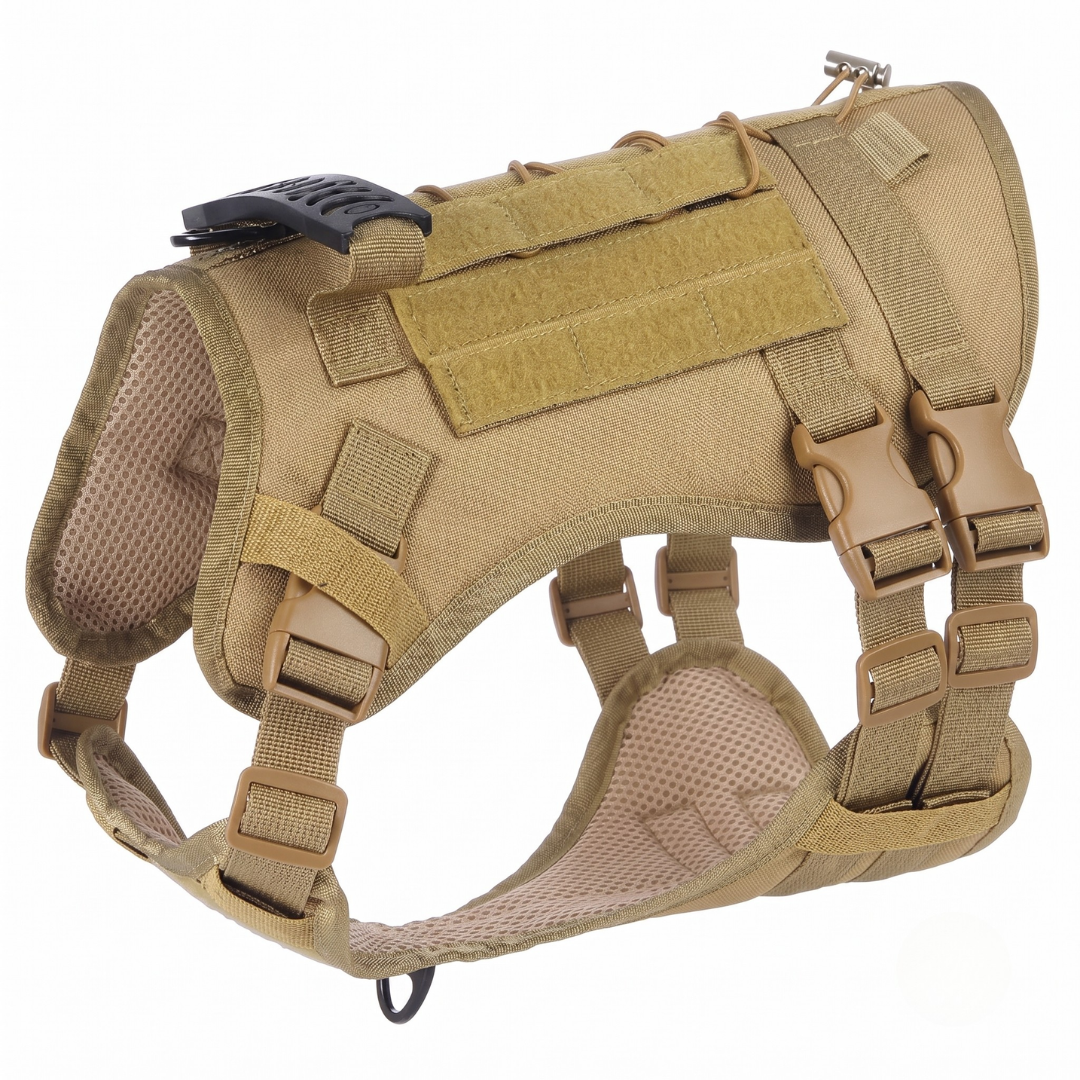 BuddyStride Pivot-Control Harness