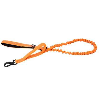 BuddyStride Tactical Bungee Dog Leash