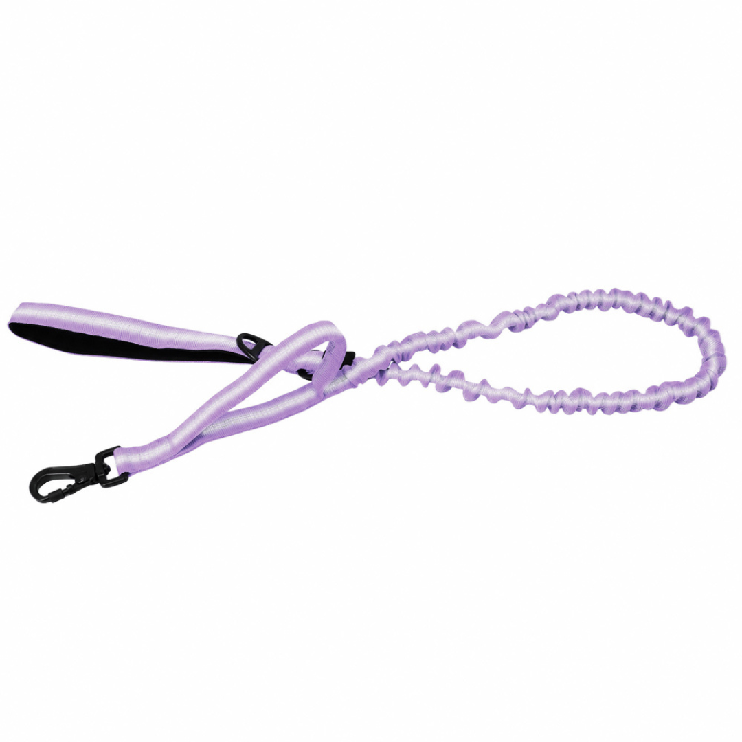 BuddyStride Tactical Bungee Dog Leash