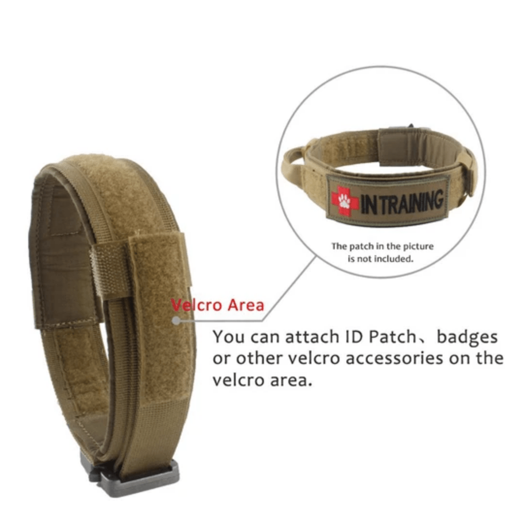 BuddyStride Tactical Dog Collar