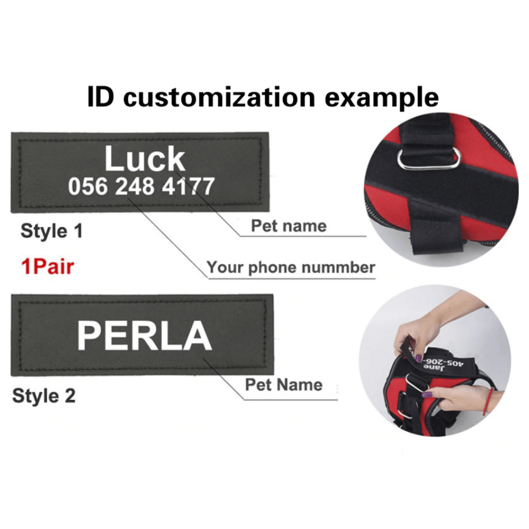 BuddyStride Custom Harness Patch (Printed Pair)