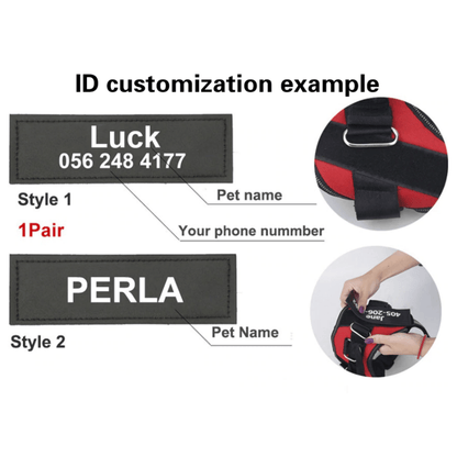 BuddyStride Custom Harness Patch (Printed Pair)