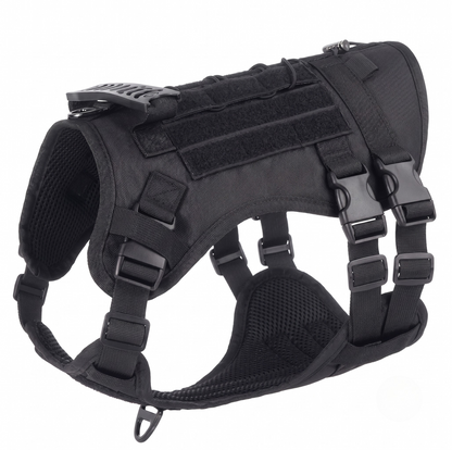BuddyStride Pivot-Control Harness