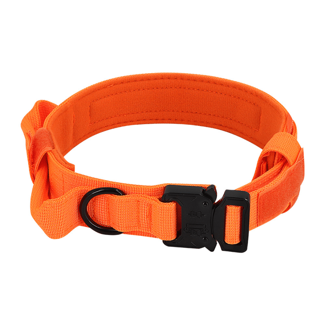 BuddyStride Tactical Dog Collar